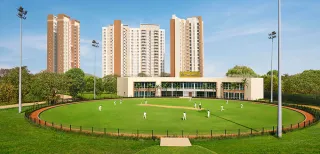 World-Class Cricket Ground