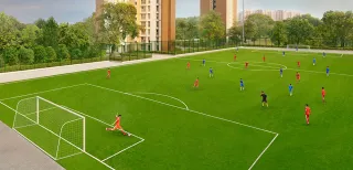 International-Standard Football Field